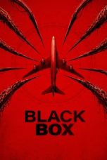 black-box-flight-298-2026